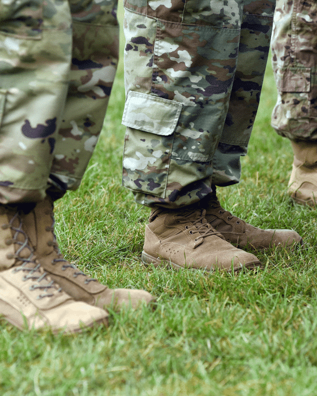 Veteran Survivors